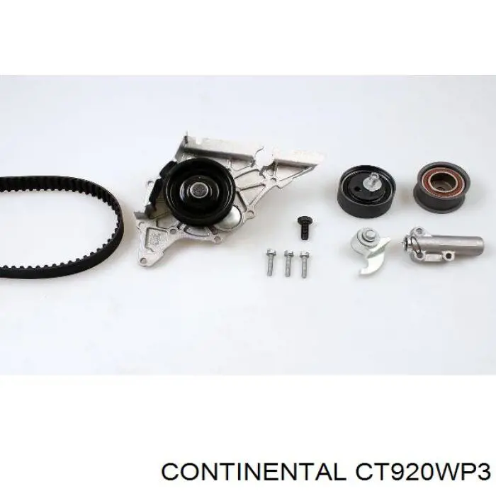 CT920WP3 Continental/Siemens Correia do mecanismo de distribuição de gás, kit