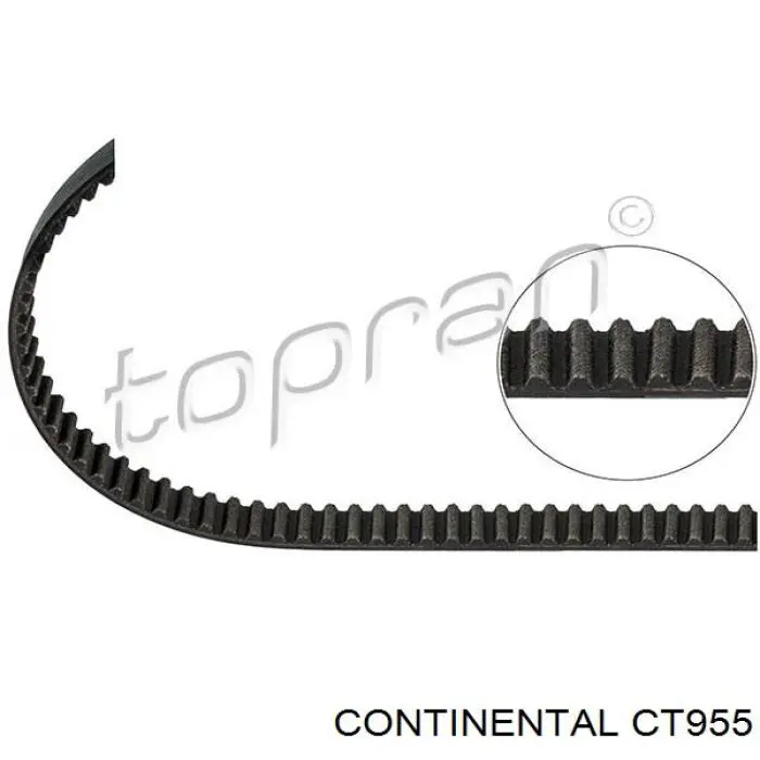 Correia do mecanismo de distribuição de gás CT955 Continental/Siemens