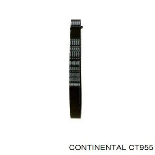 Correia do mecanismo de distribuição de gás Continental/Siemens CT955