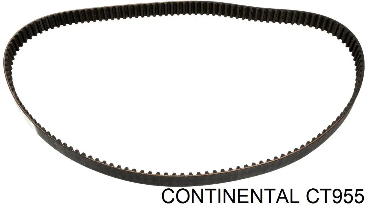Correia do mecanismo de distribuição de gás Continental/Siemens CT955 preço, a partir de 35,47 USD
