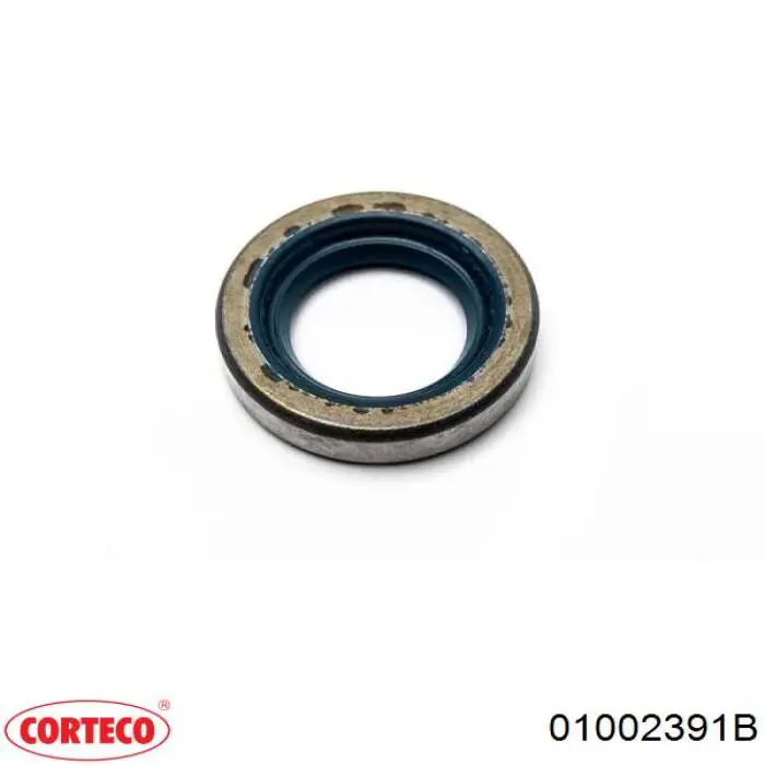 01002391B Corteco Bucim da Bomba de Combustível de Pressão Alta