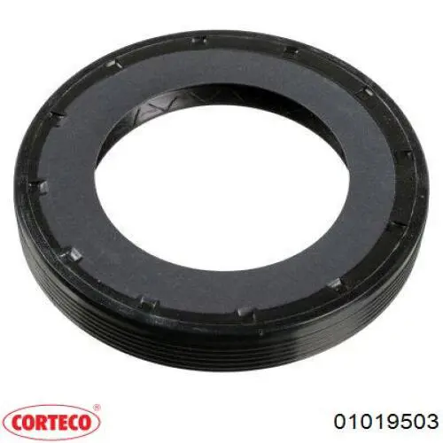 Anel de vedação, universal Corteco 01019503 preço, a partir de 13,89 USD