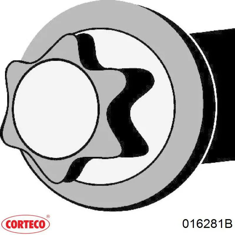 Compre 016281B Corteco Parafuso de cabeça de motor (CBC)