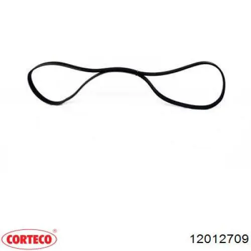 Vedação dianteira da árvore distribuidora de motor 12012709 Corteco