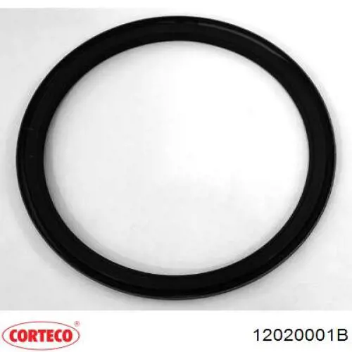 Bucim de cubo traseiro Corteco 12020001B preço, a partir de 21,03 USD