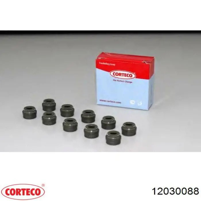 03C109675B VAG Vedação de válvula (de óleo) de escape