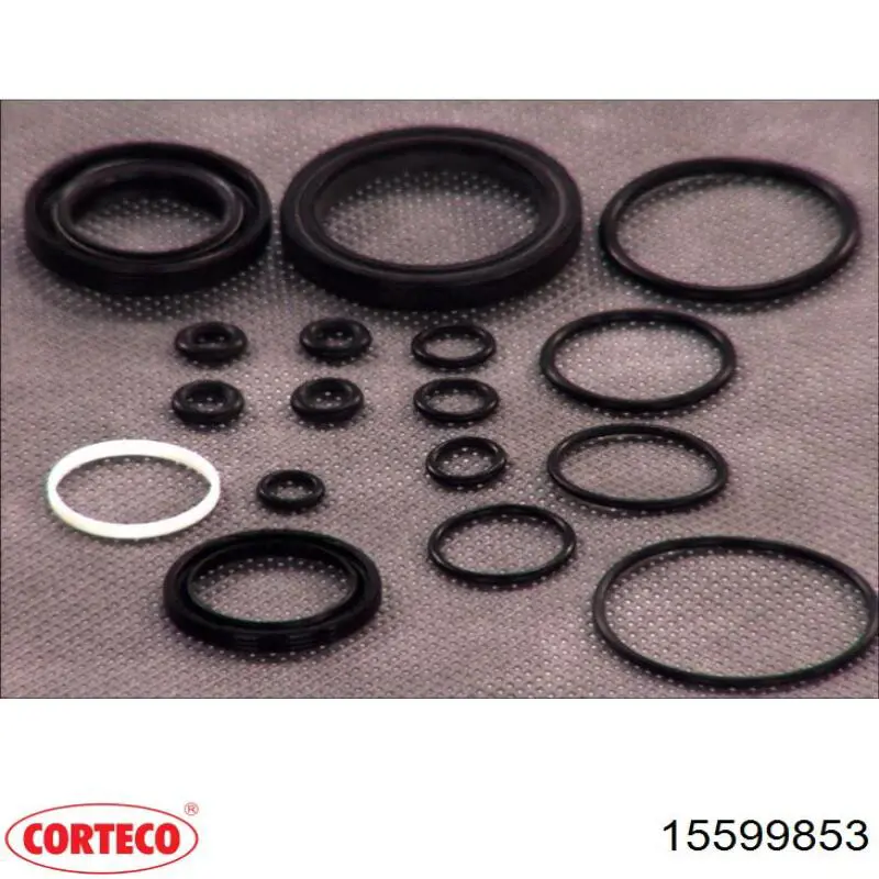  Corteco 15599853