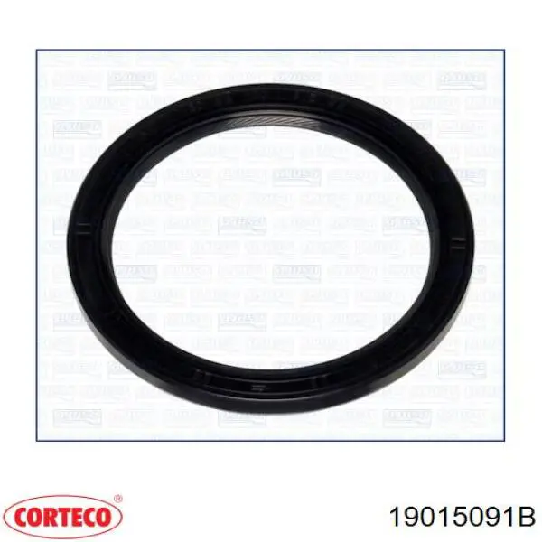 Vedação traseira de cambota de motor Corteco 19015091B preço, a partir de 17,80 USD