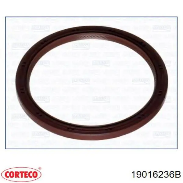 Vedação traseira de cambota de motor Corteco 19016236B preço, a partir de 23,94 USD