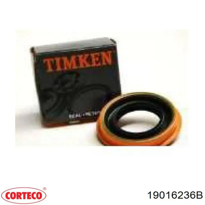Compre 19016236B Corteco Vedação traseira de cambota de motor