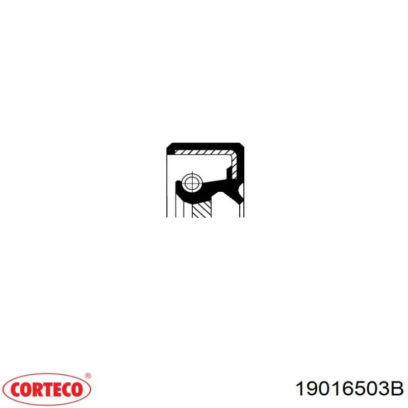 Vedação traseira de cambota de motor Corteco 19016503B preço, a partir de 11,17 USD