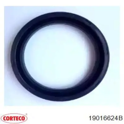 Compre 19016624B Corteco Vedação interna de cubo traseiro