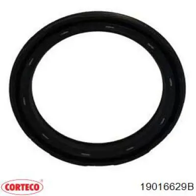 Vedação externa de cubo traseiro Corteco 19016629B preço, a partir de 13,98 USD
