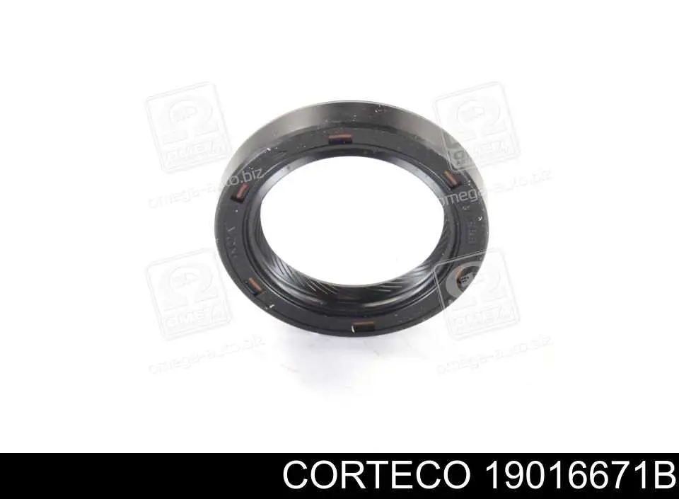19016671B Corteco Vedação da árvore distribuidora de motor