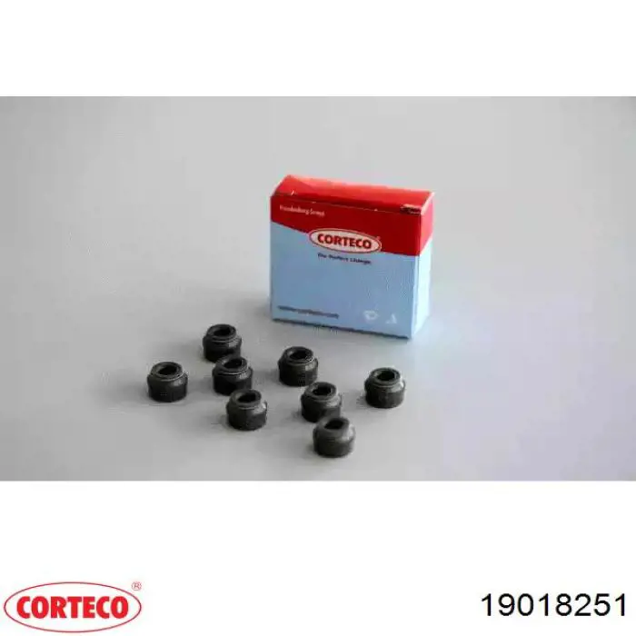 Compre 19018251 Corteco Vedação de válvula (coletor de óleo), admissão/escape, kit para um motor