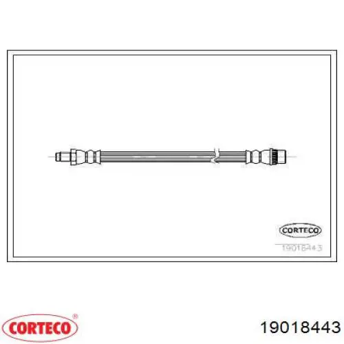 19018443 Corteco Mangueira do freio dianteira