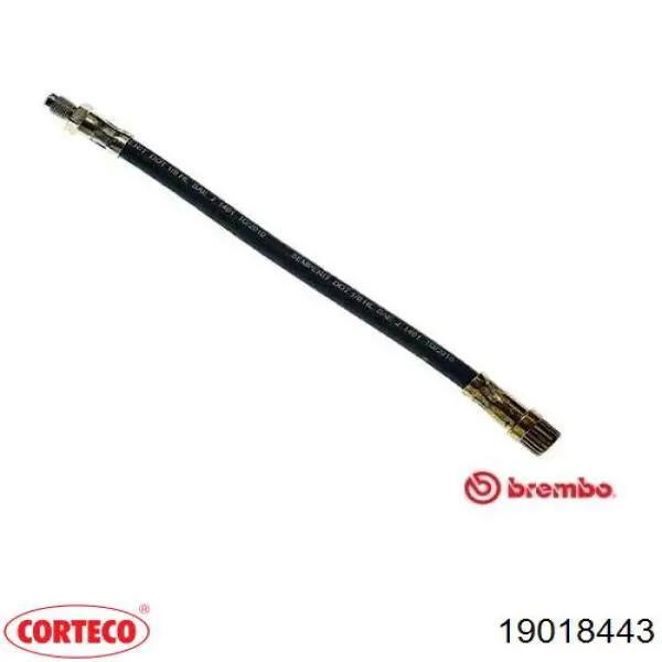 Compre 19018443 Corteco Mangueira do freio dianteira
