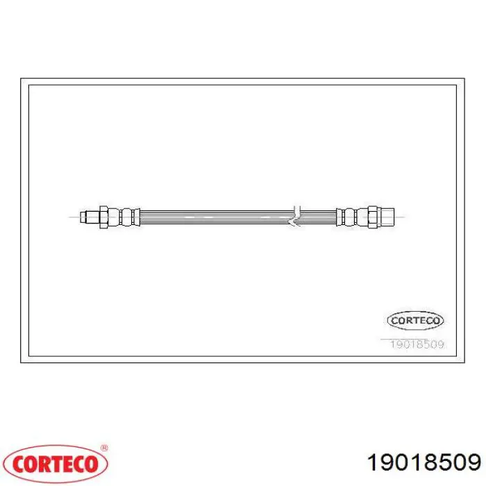 Mangueira do freio traseira Corteco 19018509 preço, a partir de 9,00 USD