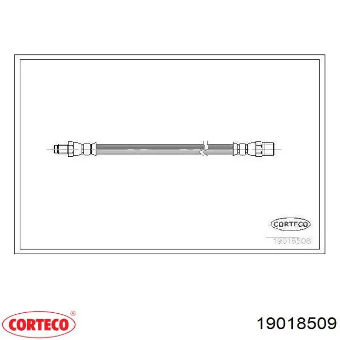 Compre 19018509 Corteco Mangueira do freio traseira