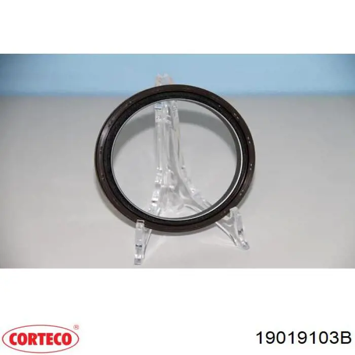 Vedação traseira de cambota de motor Corteco 19019103B preço, a partir de 34,16 USD