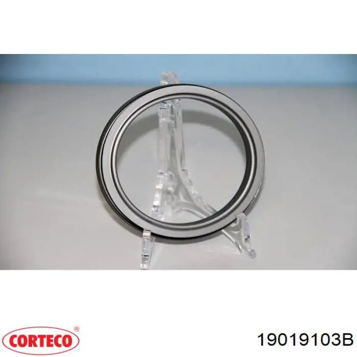 Compre 19019103B Corteco Vedação traseira de cambota de motor