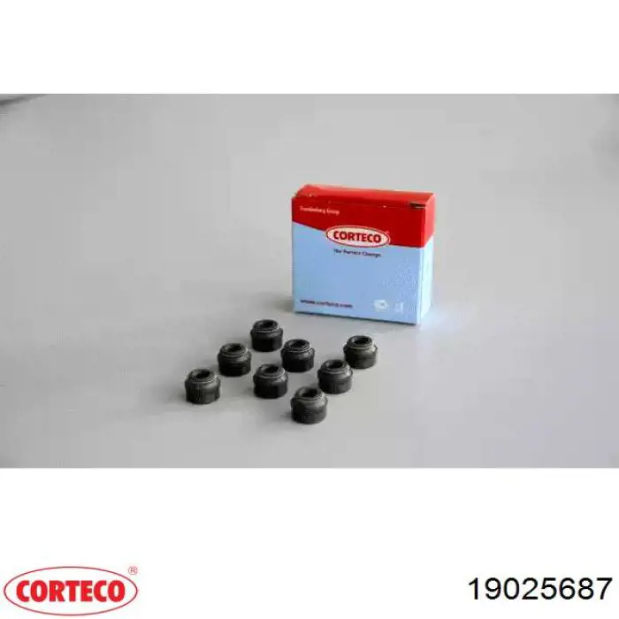 19025687 Corteco Vedação de válvula (coletor de óleo), admissão/escape, kit para um motor