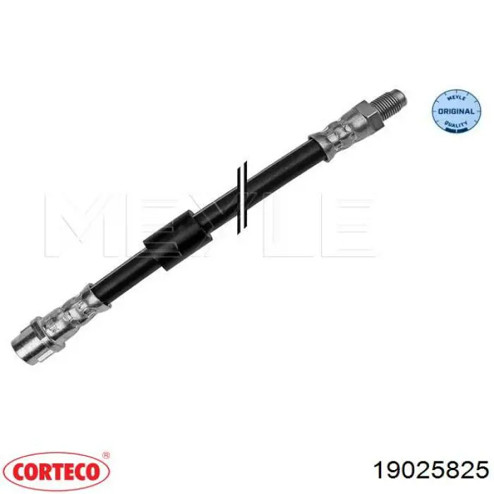 Compre 19025825 Corteco Mangueira do freio traseira