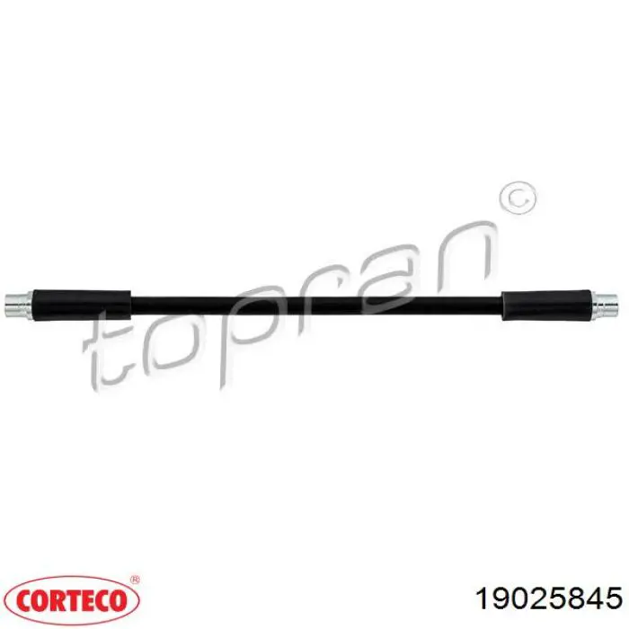 Compre 19025845 Corteco Mangueira do freio dianteira