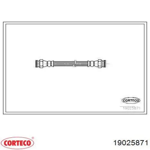 Compre 19025871 Corteco Mangueira do freio traseira