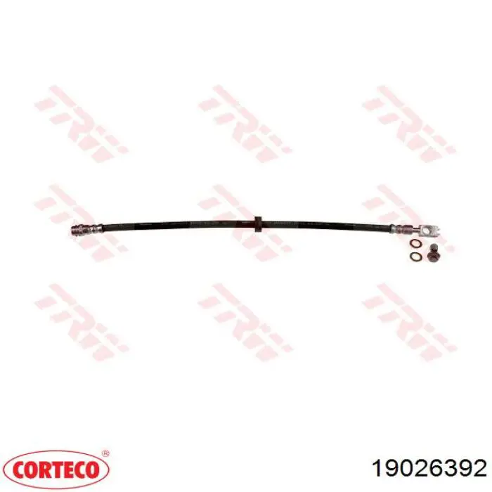 Compre 19026392 Corteco Mangueira do freio dianteira