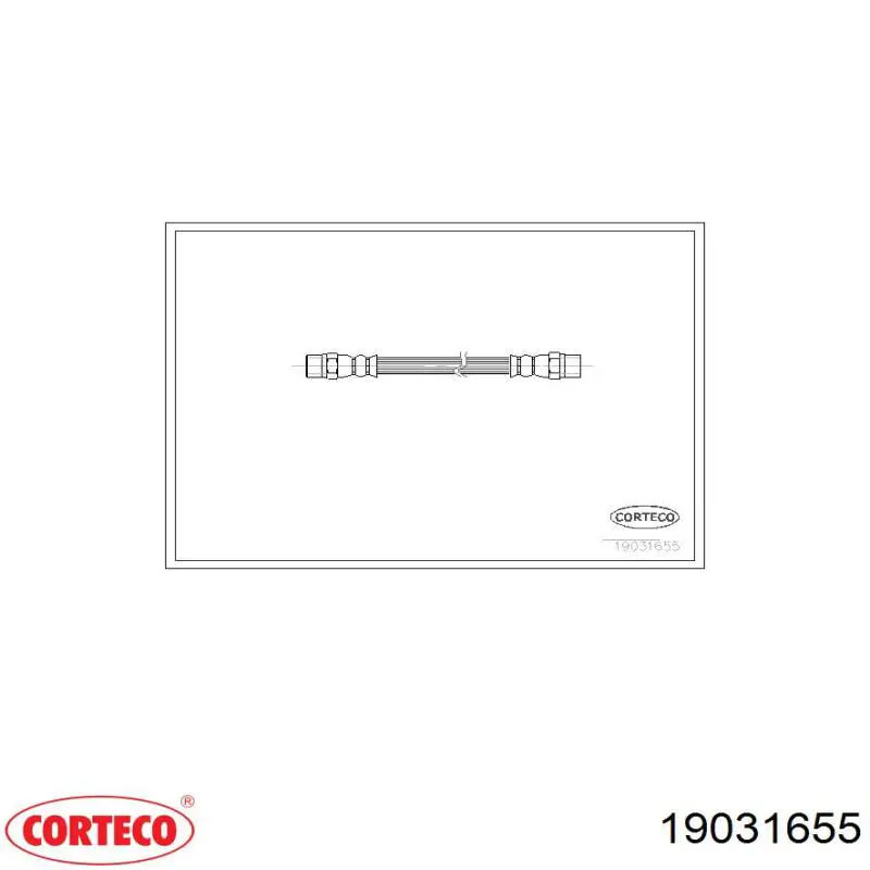 Compre 19031655 Corteco Mangueira do freio dianteira direita