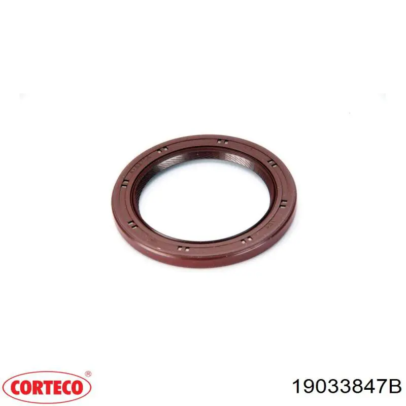 Vedação dianteira de cambota de motor Corteco 19033847B preço, a partir de 21,85 USD