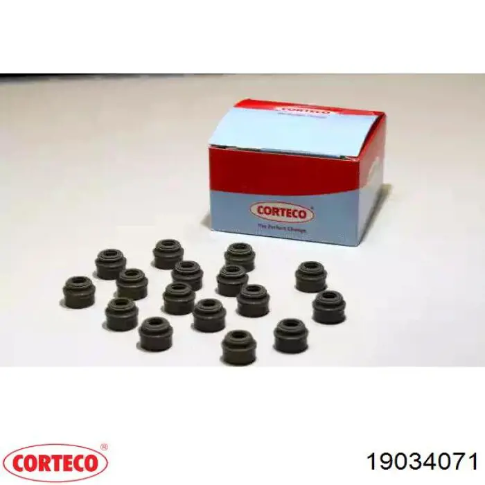 Vedação de válvula (coletor de óleo), admissão/escape, kit para um motor Corteco 19034071 preço, a partir de 8,94 USD