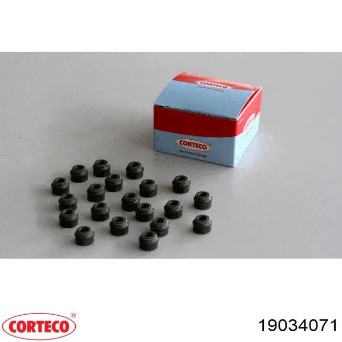 Compre 19034071 Corteco Vedação de válvula (coletor de óleo), admissão/escape, kit para um motor