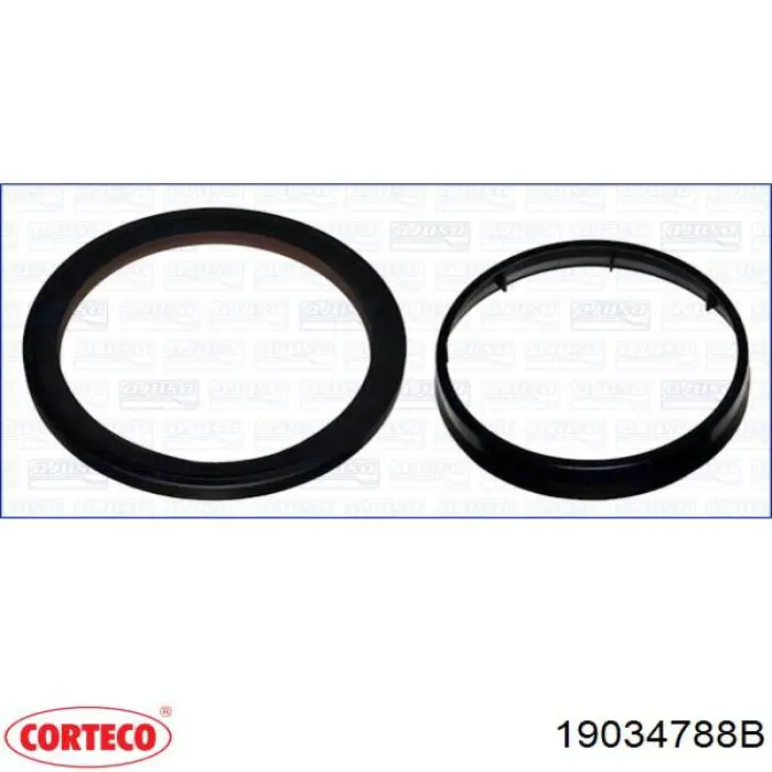 Compre 19034788B Corteco Anel de vedação, universal