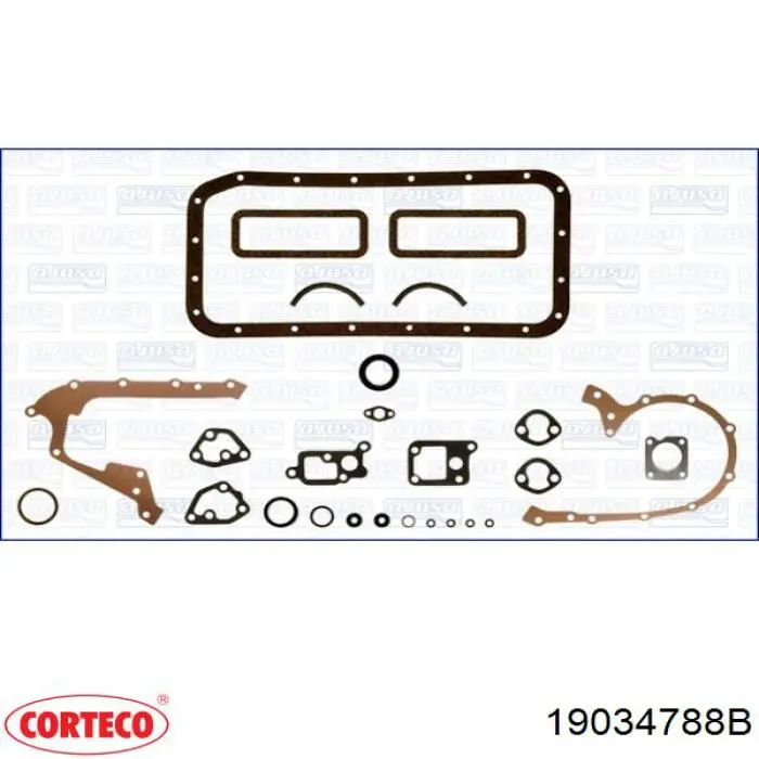 19034788B Corteco Anel de vedação, universal