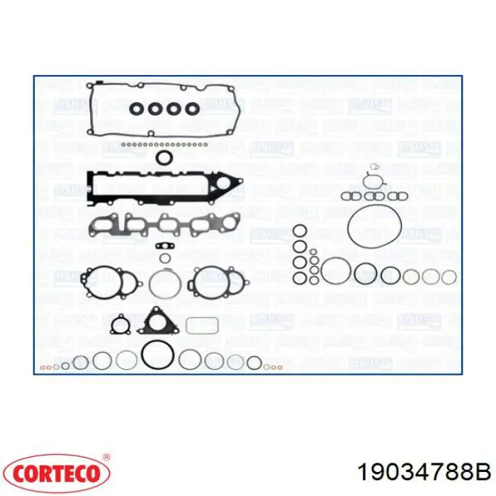 Anel de vedação, universal Corteco 19034788B preço, a partir de 10,42 USD