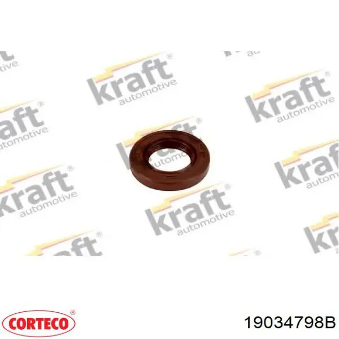 Compre 19034798B Corteco Vedação de bomba de óleo de motor