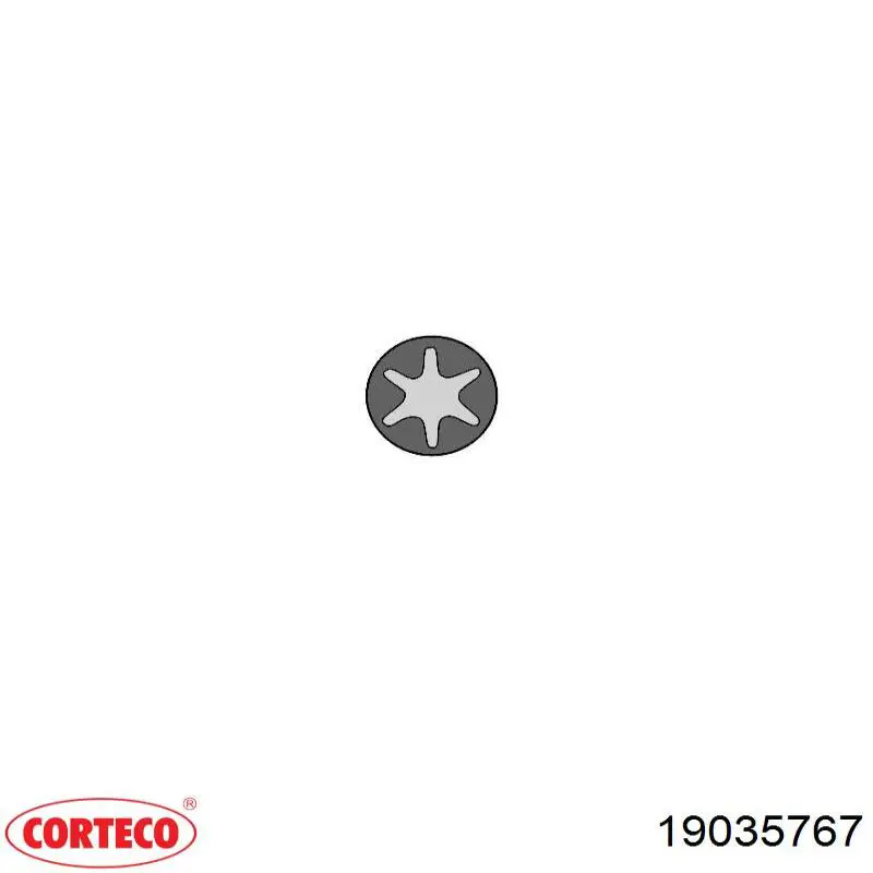 19035767 Corteco Vedação de válvula (de óleo) de admissão, kit