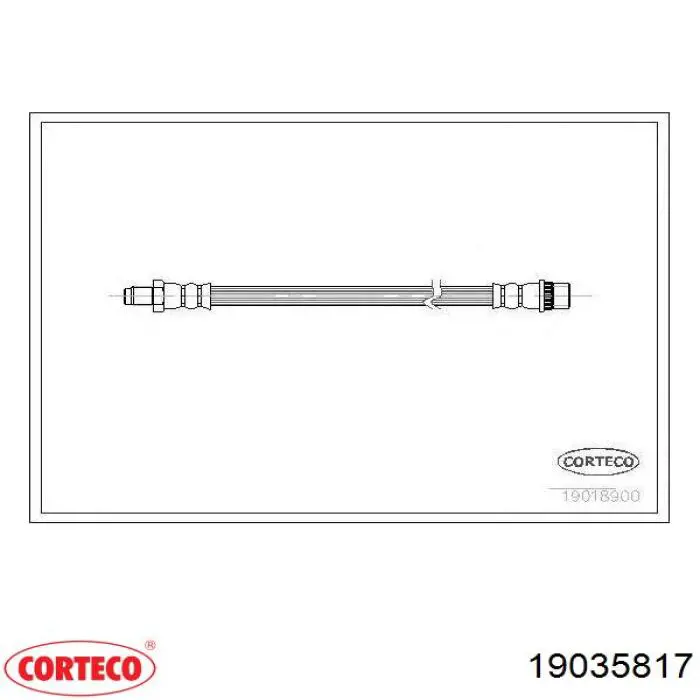 Compre 19035817 Corteco Mangueira do freio dianteira