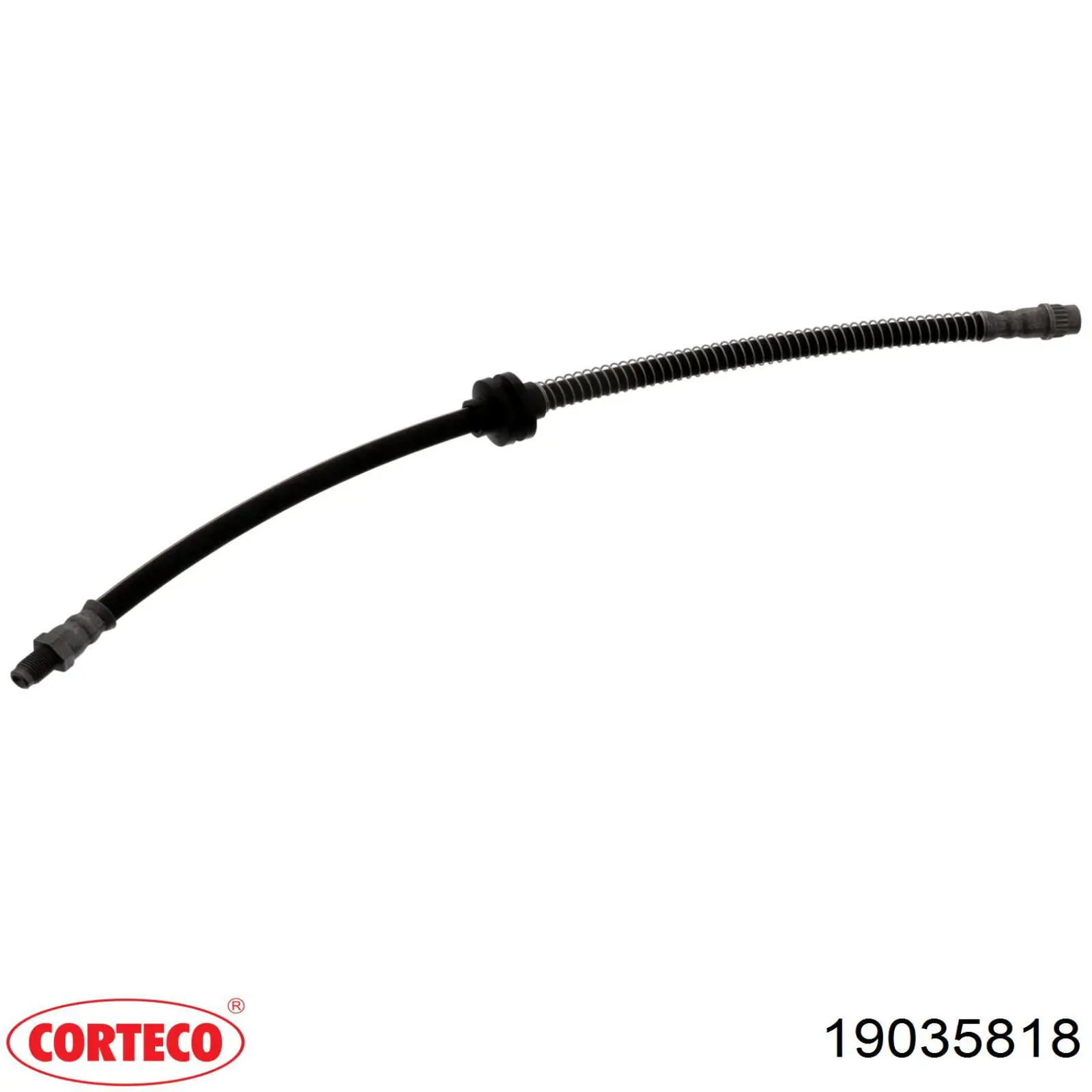 Compre 19035818 Corteco Mangueira do freio dianteira