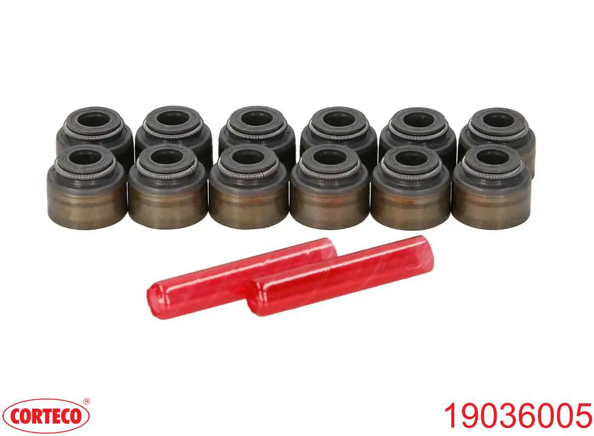 19036005 Corteco Vedação de válvula (coletor de óleo), admissão/escape, kit para um motor