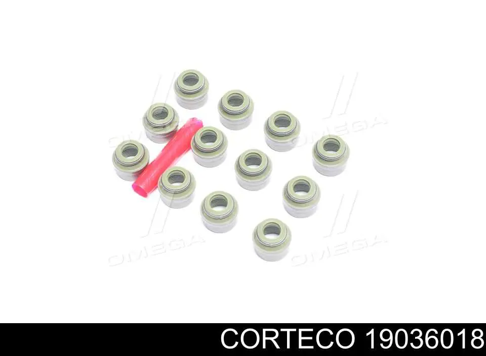 Vedação de válvula (coletor de óleo), admissão/escape, kit para um motor Corteco 19036018 preço, a partir de 10,70 USD