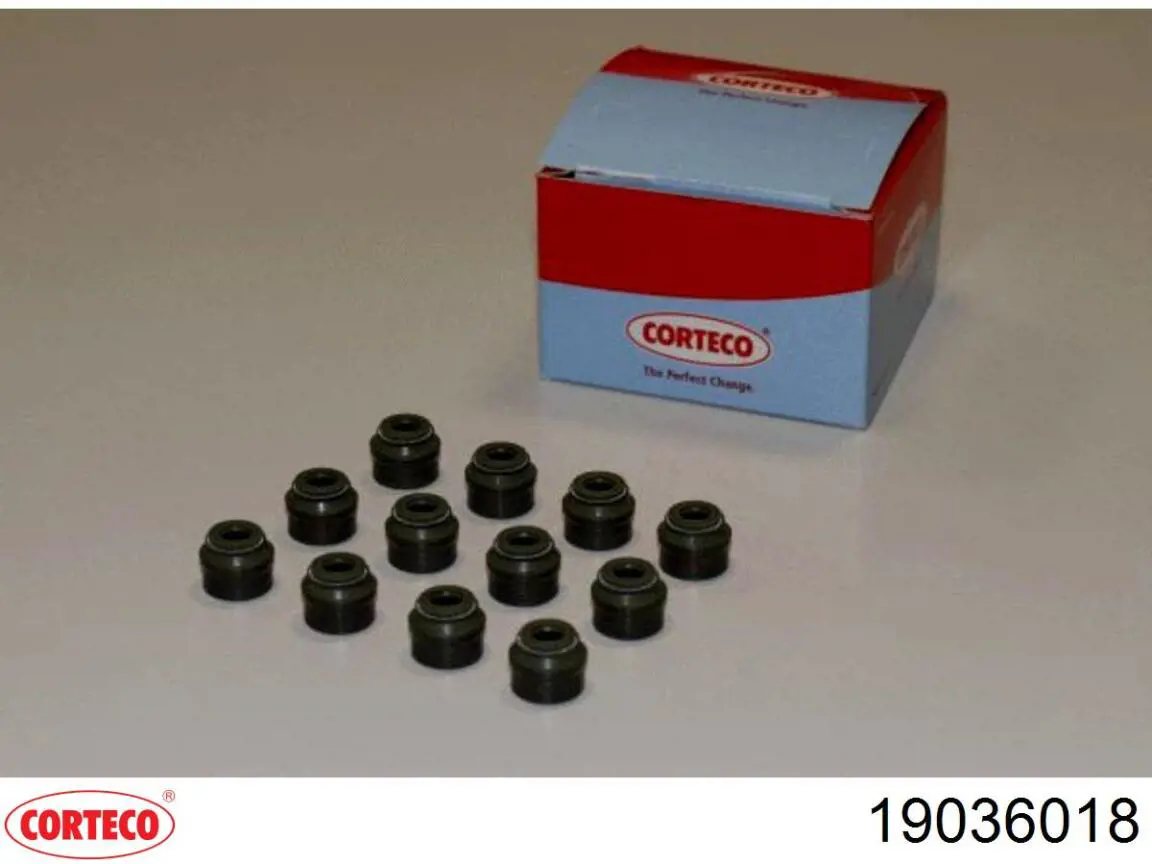 Compre 19036018 Corteco Vedação de válvula (coletor de óleo), admissão/escape, kit para um motor