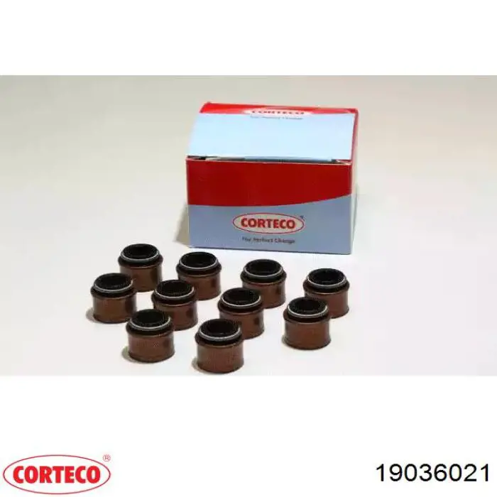 Vedação de válvula (coletor de óleo), admissão/escape, kit para um motor Corteco 19036021 preço, a partir de 12,55 USD
