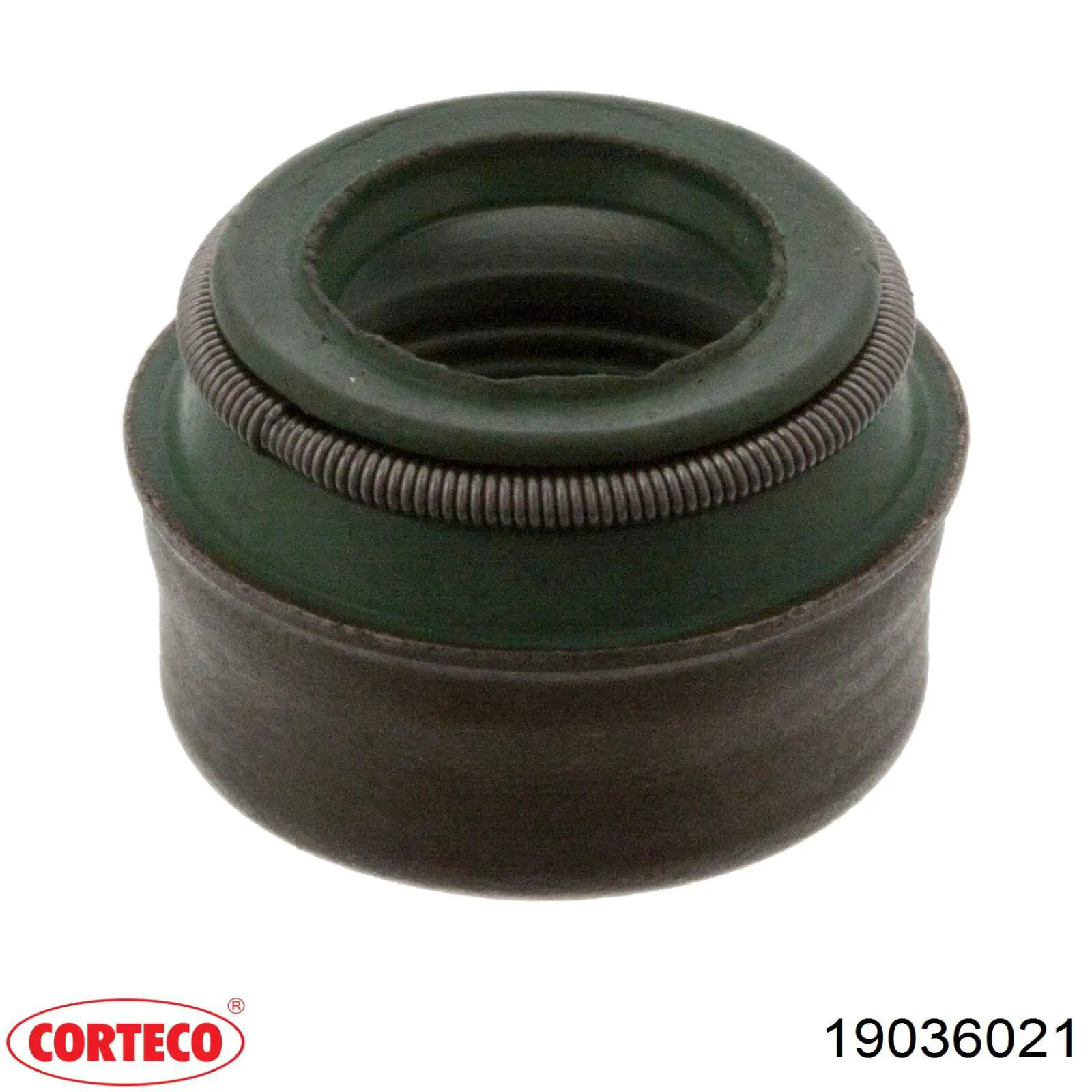 Compre 19036021 Corteco Vedação de válvula (coletor de óleo), admissão/escape, kit para um motor