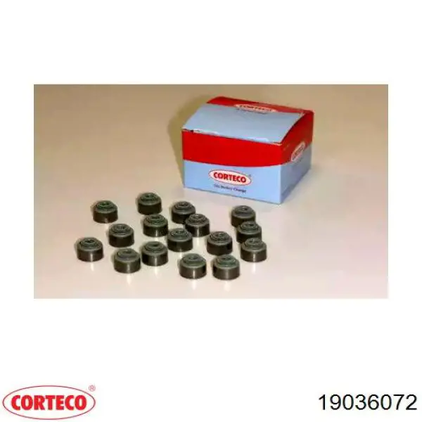 Vedação de válvula (coletor de óleo), admissão/escape, kit para um motor Corteco 19036072 preço, a partir de 25,46 USD