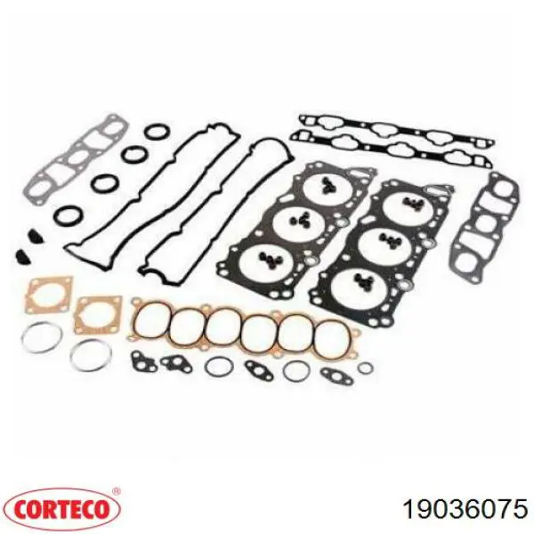 Vedação de válvula (de óleo) de escape, kit 19036075 Corteco