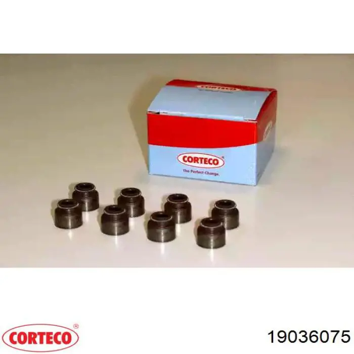 19036075 Corteco Vedação de válvula (de óleo) de escape, kit