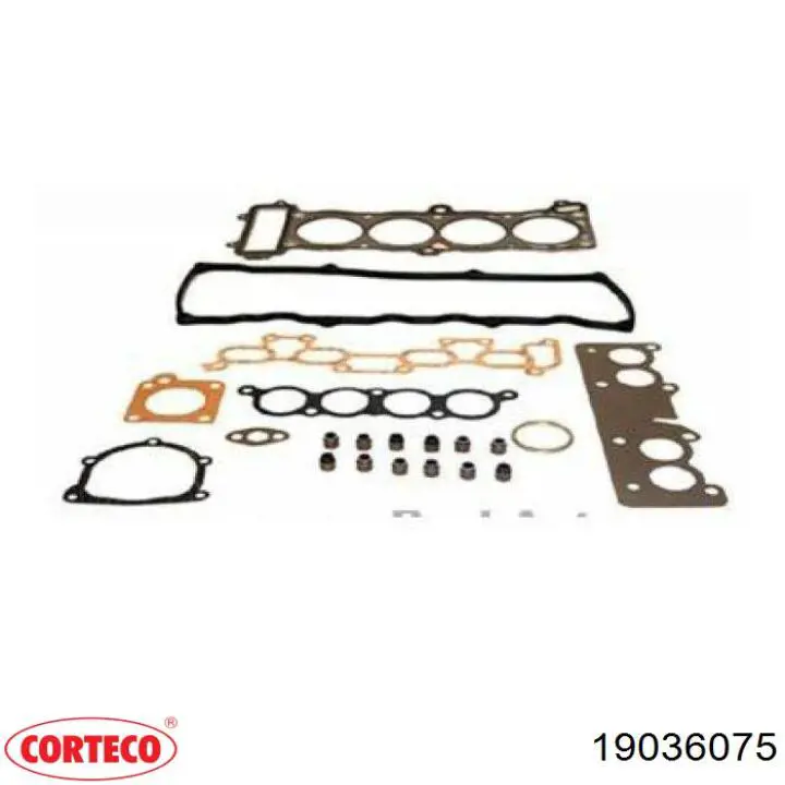 Vedação de válvula (de óleo) de escape, kit Corteco 19036075 preço, a partir de 20,87 USD